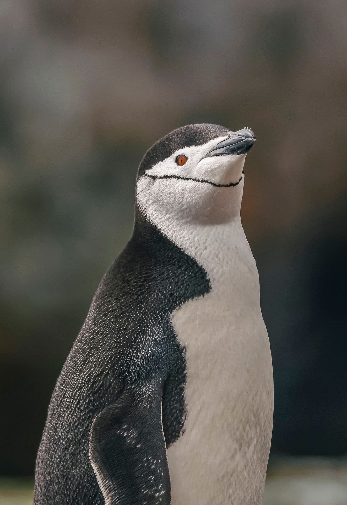 Photographer's Paradise